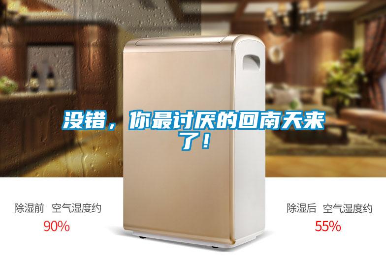 没错，你最讨厌的回南天来了！