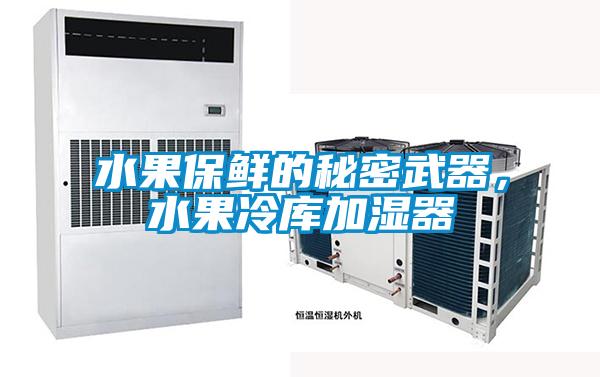 水果保鲜的秘密武器，水果冷库加湿器