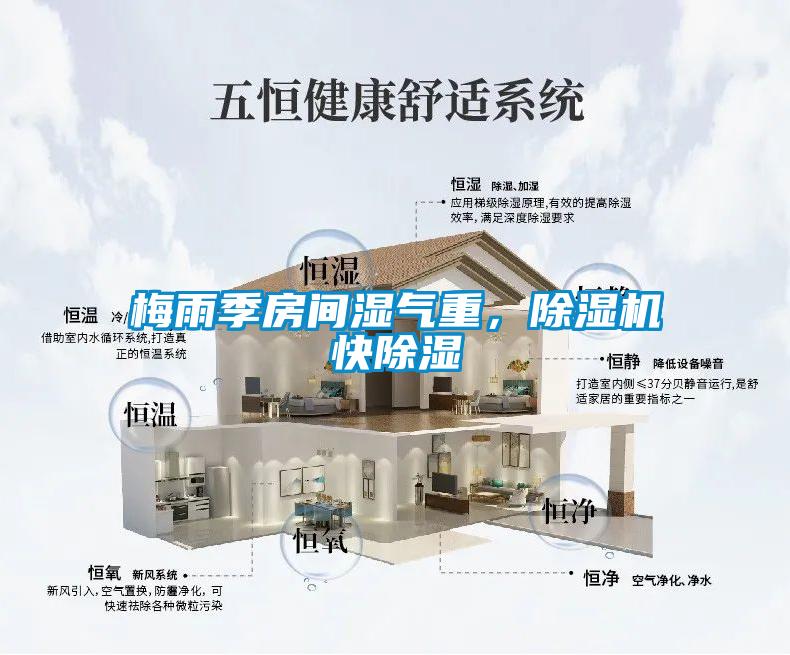 梅雨季房间湿气重，除湿机快除湿