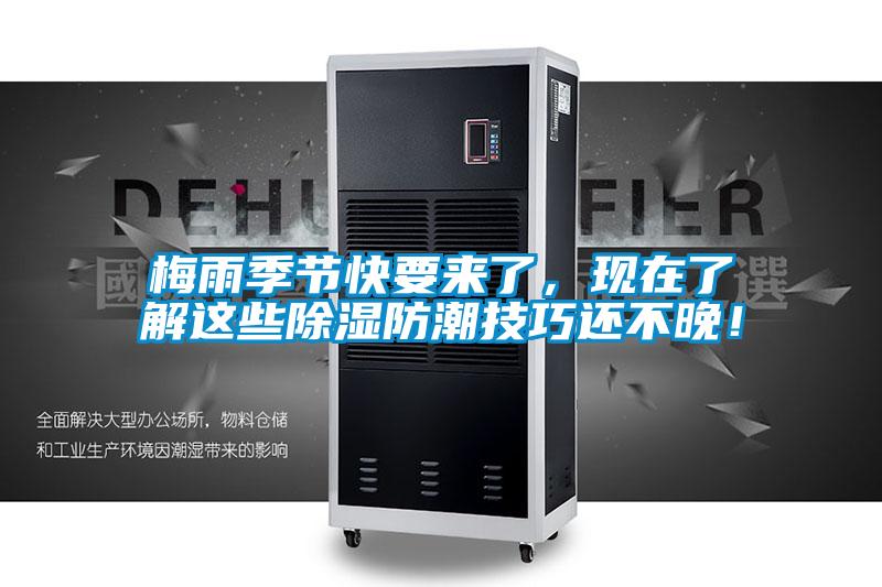 梅雨季节快要来了，现在了解这些除湿防潮技巧还不晚！