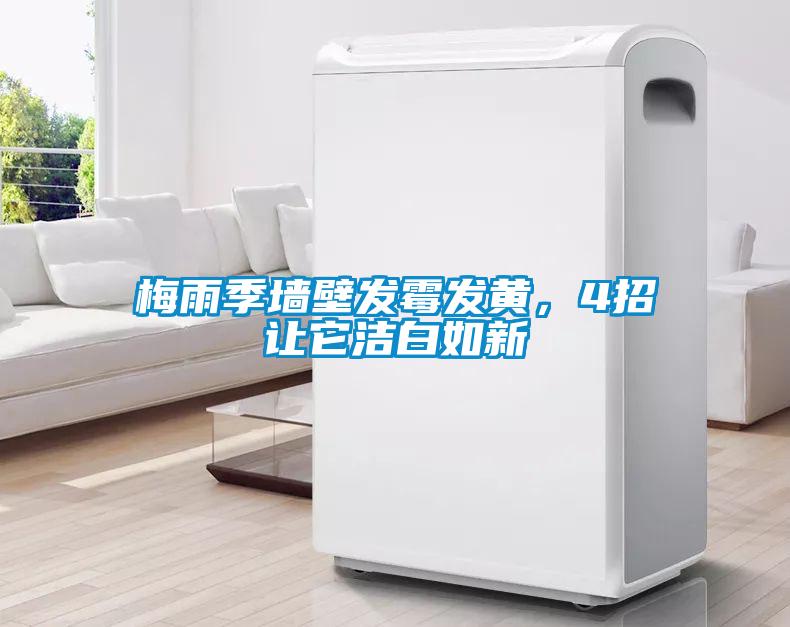 梅雨季墙壁发霉发黄，4招让它洁白如新