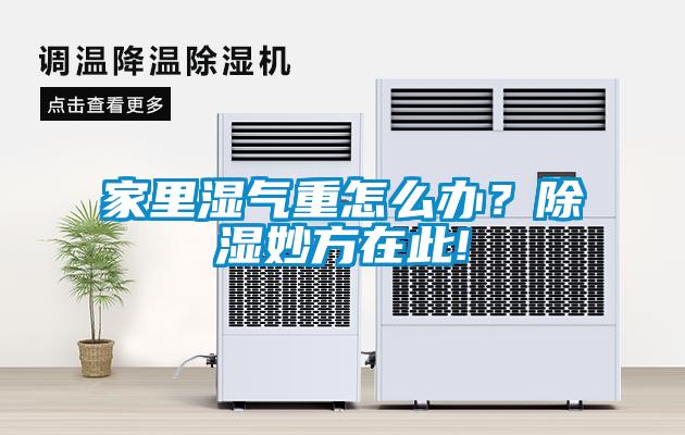 家里湿气重怎么办？除湿妙方在此!