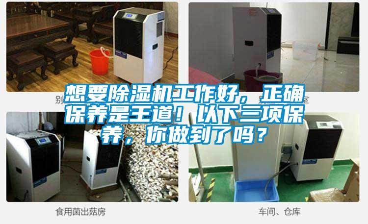 想要除湿机工作好，正确保养是王道！以下三项保养，你做到了吗？