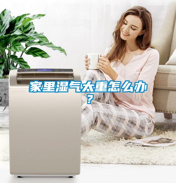 家里湿气太重怎么办？