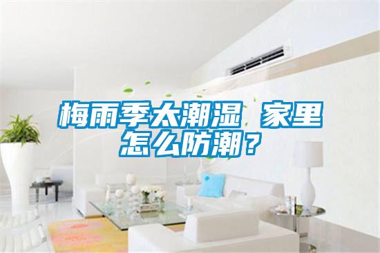 梅雨季太潮湿 家里怎么防潮？