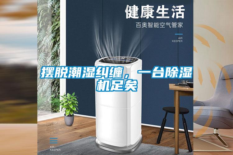 摆脱潮湿纠缠，一台除湿机足矣