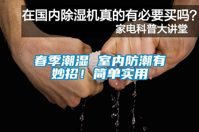 春季潮湿 室内防潮有妙招！简单实用