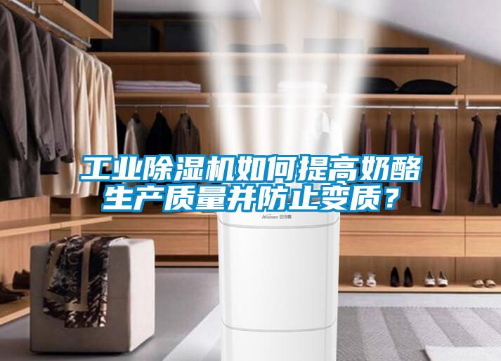 工业除湿机如何提高奶酪生产质量并防止变质？