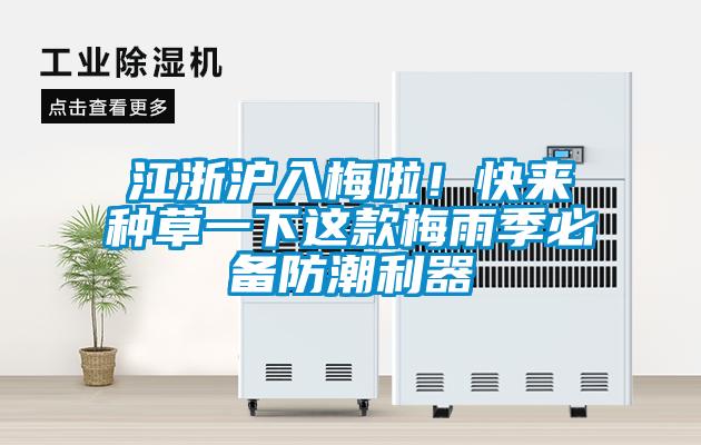 江浙沪入梅啦！快来种草一下这款梅雨季必备防潮利器