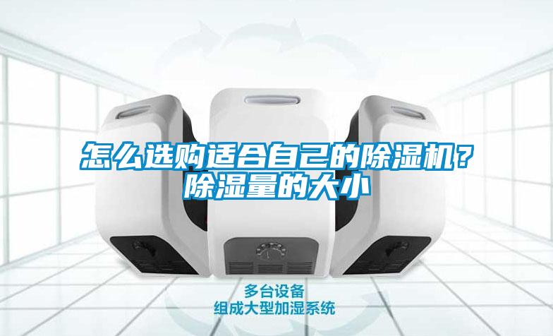 怎么选购适合自己的除湿机？除湿量的大小