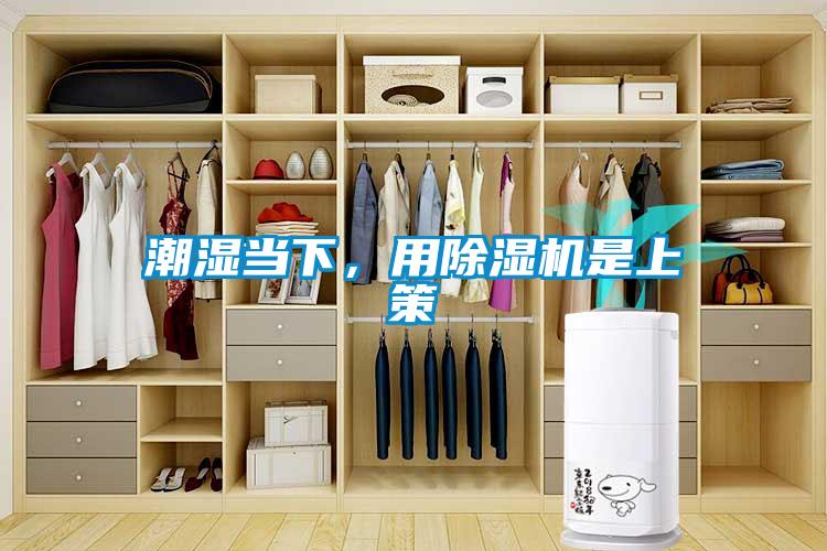 潮湿当下，用除湿机是上策