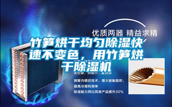竹笋烘干均匀除湿快速不变色，用竹笋烘干除湿机