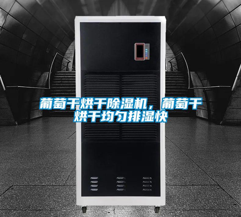 葡萄干烘干除湿机，葡萄干烘干均匀排湿快