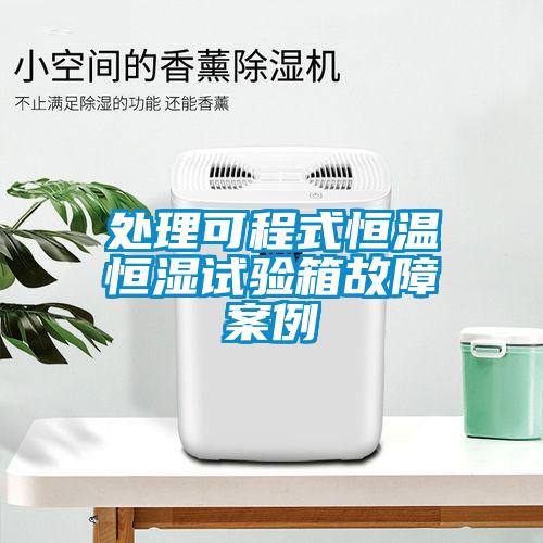处理可程式恒温恒湿试验箱故障案例