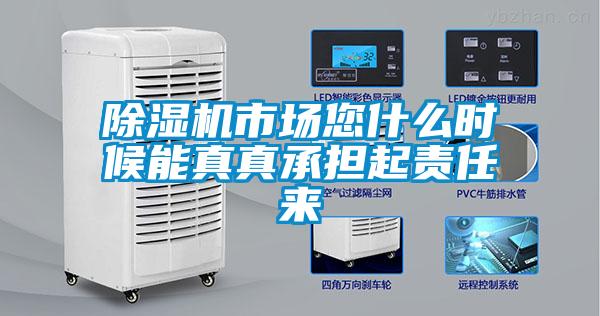 除湿机市场您什么时候能真真承担起责任来