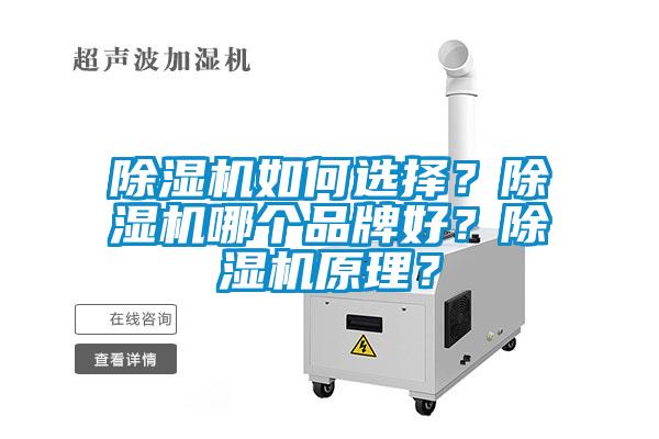 除湿机如何选择？除湿机哪个品牌好？除湿机原理？