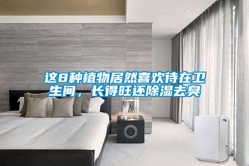 这8种植物居然喜欢待在卫生间，长得旺还除湿去臭