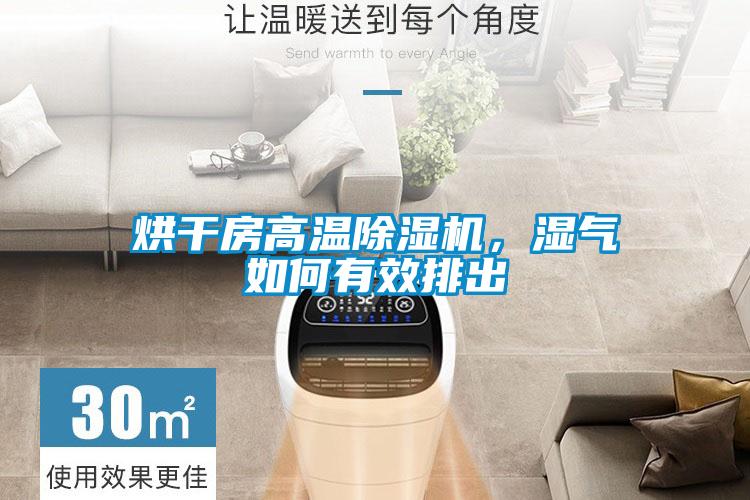 烘干房高温除湿机，湿气如何有效排出