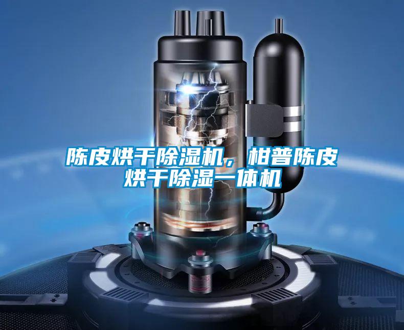 陈皮烘干除湿机，柑普陈皮烘干除湿一体机