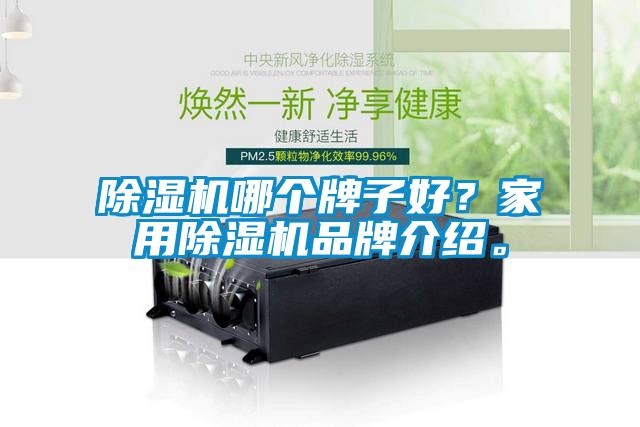 除湿机哪个牌子好？家用除湿机品牌介绍。