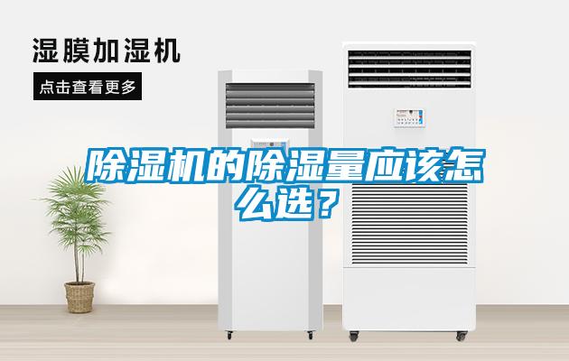 除湿机的除湿量应该怎么??？