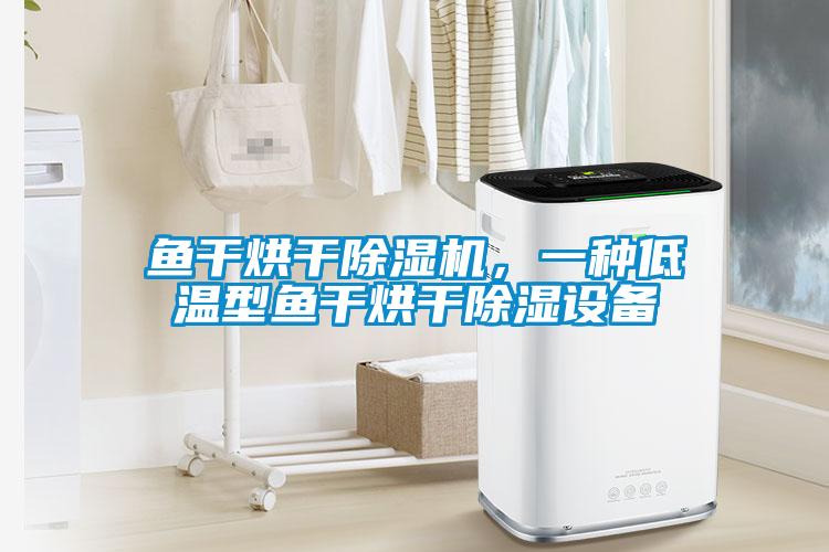 鱼干烘干除湿机，一种低温型鱼干烘干除湿设备