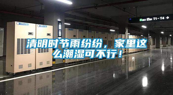 清明时节雨纷纷，家里这么潮湿可不行！