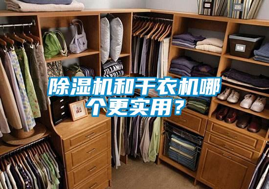 除湿机和干衣机哪个更实用？