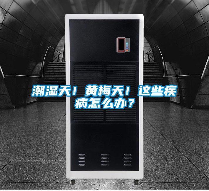 潮湿天！黄梅天！这些疾病怎么办？