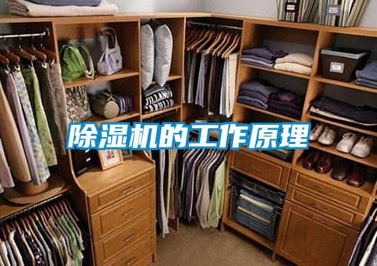 除湿机的工作原理