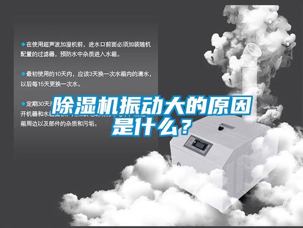 除湿机振动大的原因是什么？