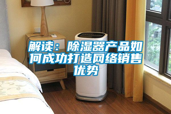 解读：除湿器产品如何成功打造网络销售优势