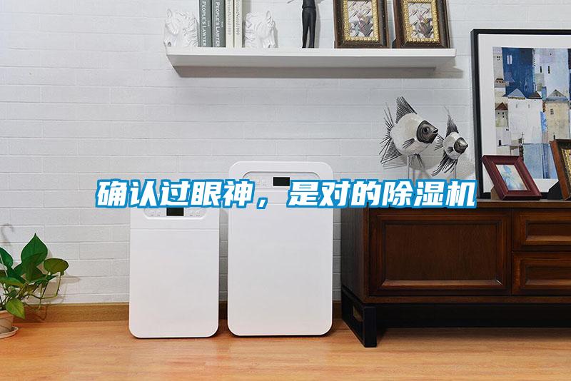 确认过眼神，是对的除湿机