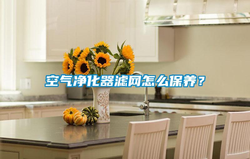 空气净化器滤网怎么保养？