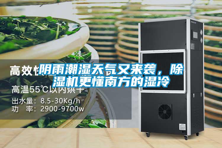 阴雨潮湿天气又来袭，除湿机更懂南方的湿冷