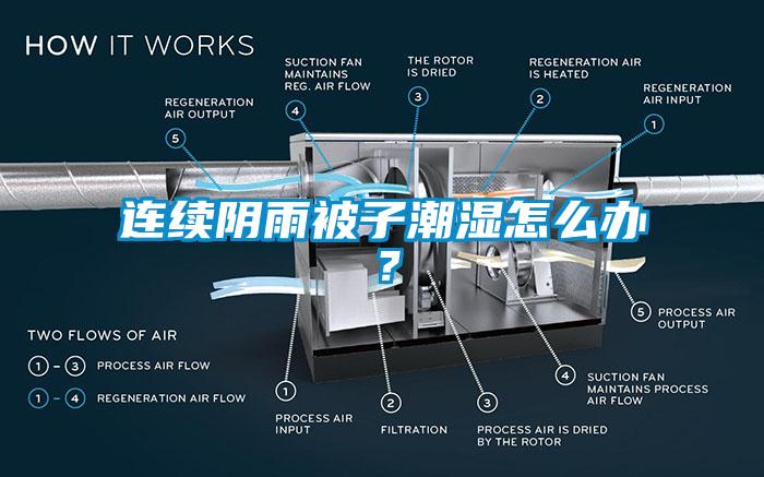 连续阴雨被子潮湿怎么办？