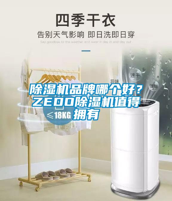 除湿机品牌哪个好？ZEDO除湿机值得拥有