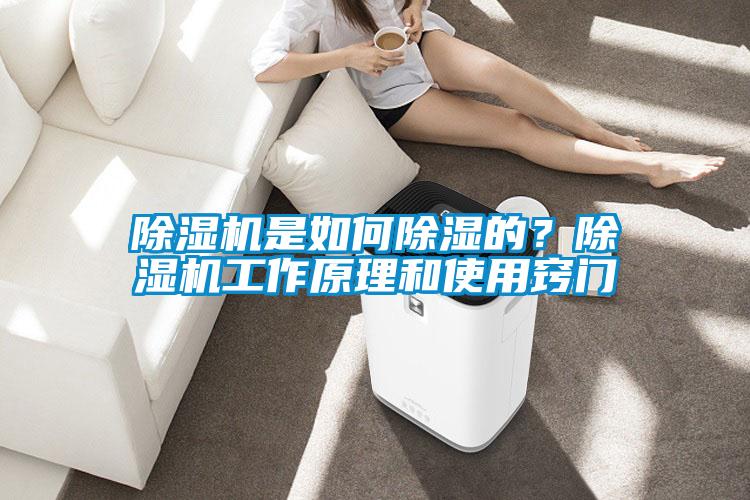 除湿机是如何除湿的？除湿机工作原理和使用窍门