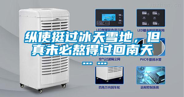 纵使挺过冰天雪地，但真未必熬得过回南天……