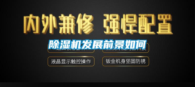 除湿机发展前景如何