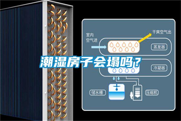 潮湿房子会塌吗？