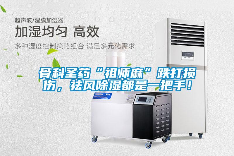 骨科圣藥“祖師麻”跌打損傷，祛風(fēng)除濕都是一把手！