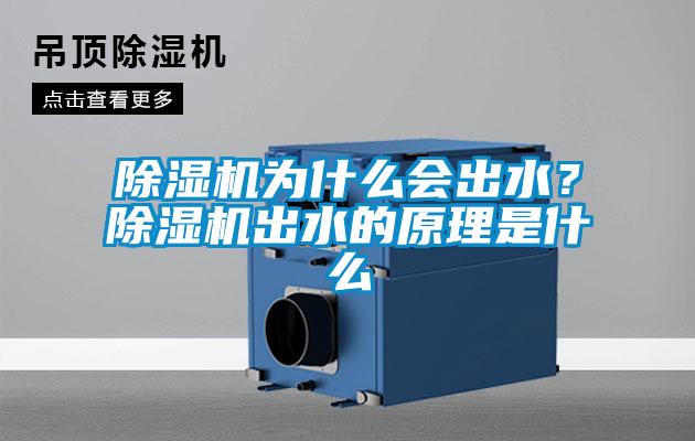除湿机为什么会出水？除湿机出水的原理是什么
