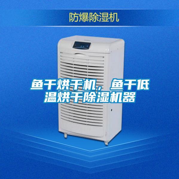 鱼干烘干机，鱼干低温烘干除湿机器
