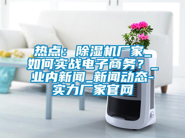 热点：除湿机厂家_如何实战电子商务？_业内新闻_新闻动态-实力厂家官网