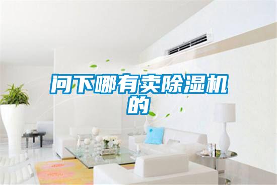 问下哪有卖除湿机的