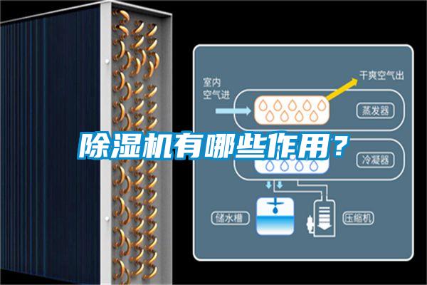 除湿机有哪些作用？
