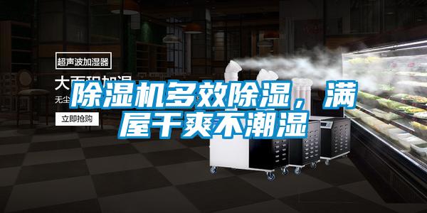 除湿机多效除湿，满屋干爽不潮湿