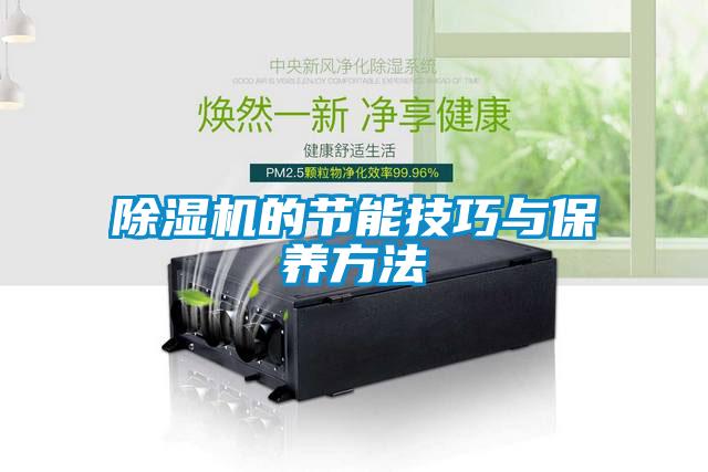 除湿机的节能技巧与保养方法