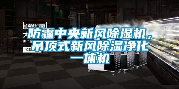 防霾中央新风除湿机，吊顶式新风除湿净化一体机